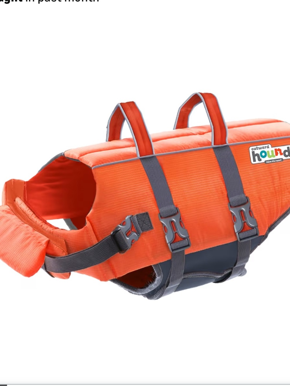 Dog life vest